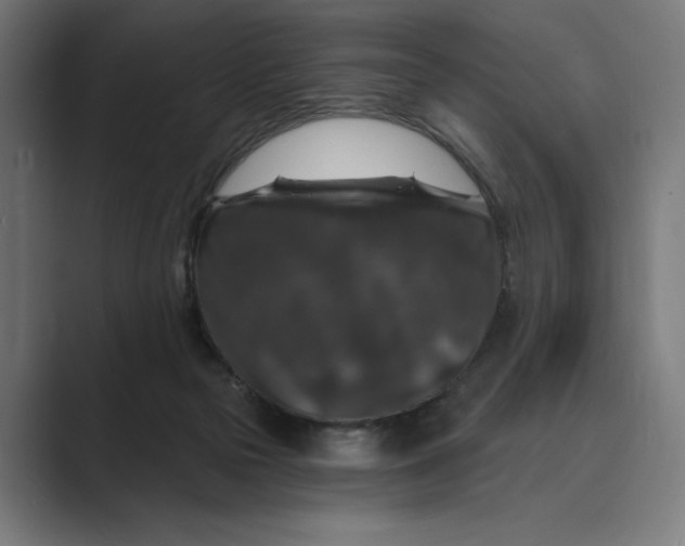 X0000088920169200706291533