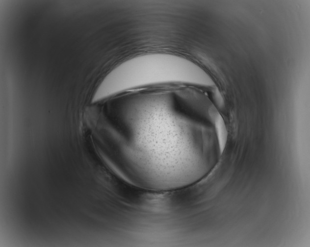 X0000088920170200706291533