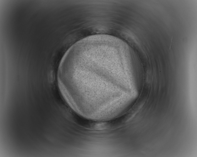 X0000088920173200706291533