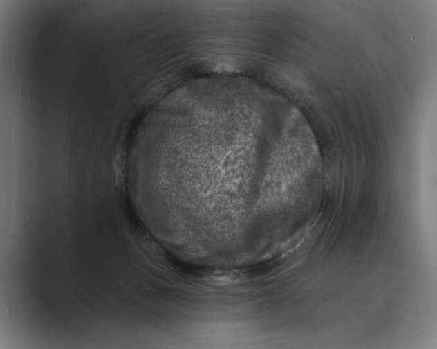 X0000088920175200706291533