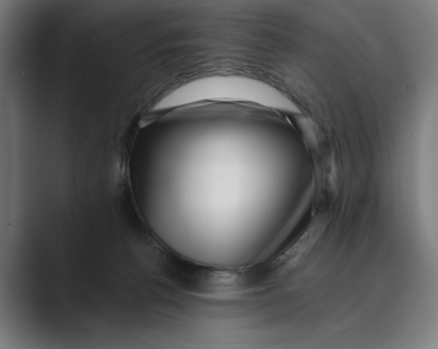 X0000088920176200706291534