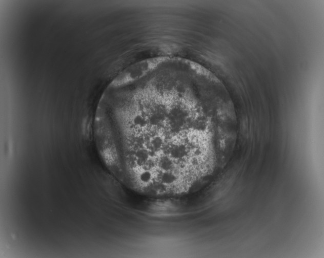 X0000088920177200706291534