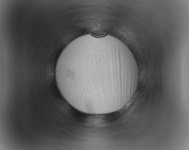 X0000088920179200706291534