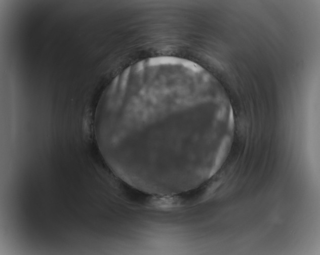 X0000088920181200706291534