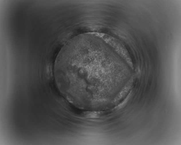 X0000088920182200706291534
