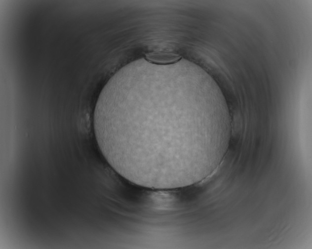X0000088920183200706291534