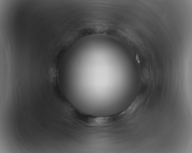 X0000088920184200706291534