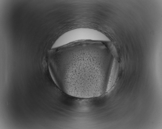 X0000088920186200706291534