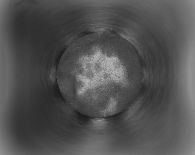 X0000088920189200706291534