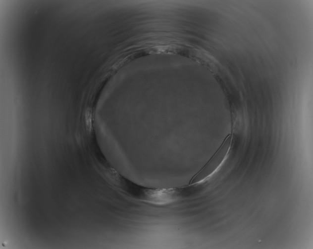 X0000088920191200706291534