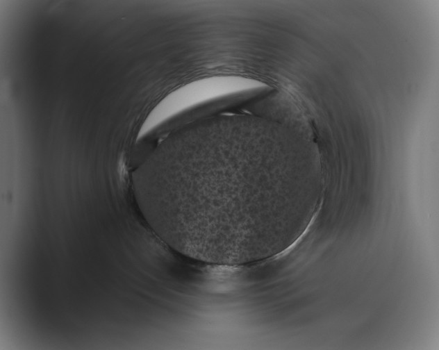 X0000088920192200706291534
