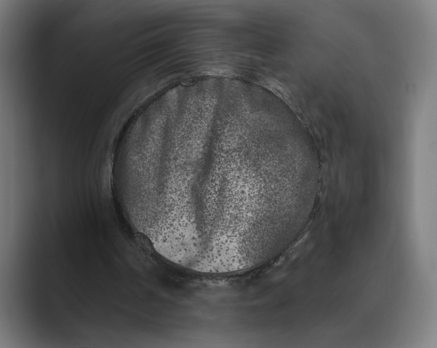 X0000088920194200706291533