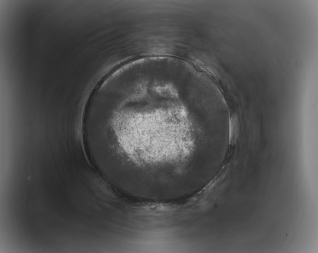 X0000088920195200706291533