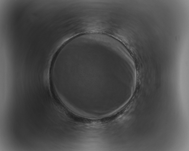 X0000088920196200706291533