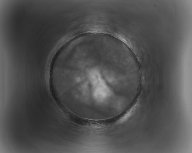 X0000088920199200706291533
