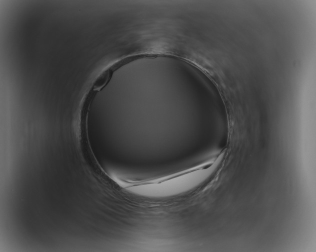 X0000088920200200706291533