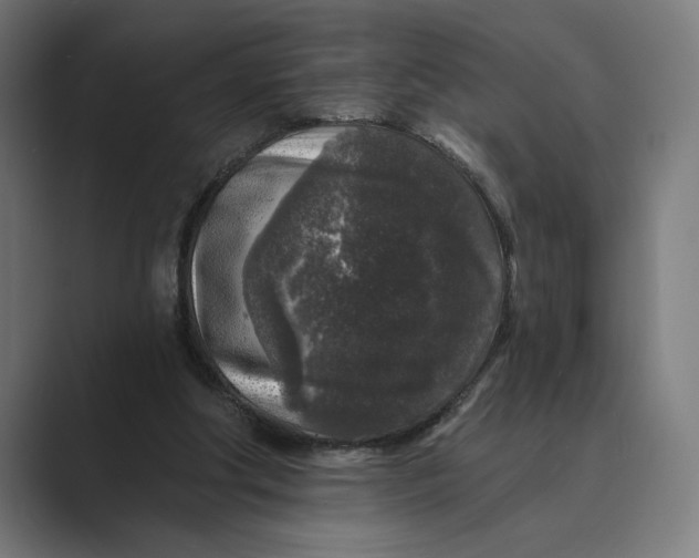 X0000088920202200706291533