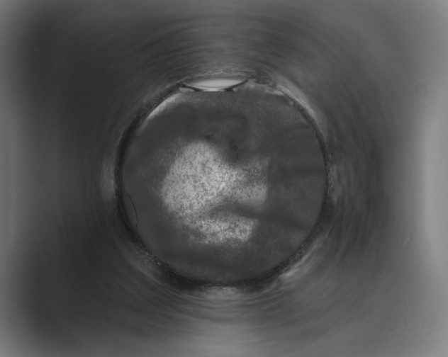 X0000088920203200706291533