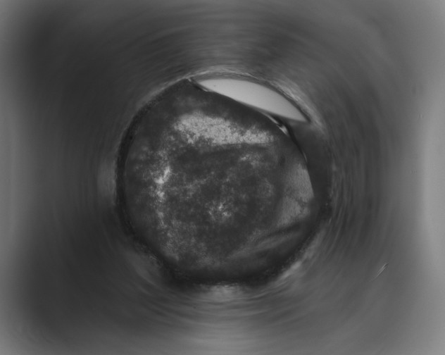 X0000088920204200706291533