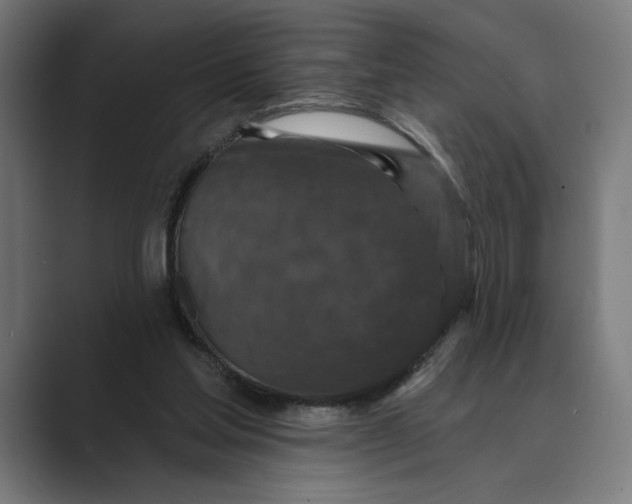 X0000088920205200706291533