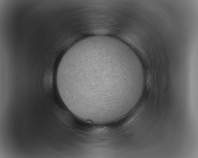 X0000088920206200706291533