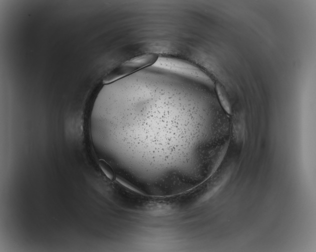 X0000088920207200706291533