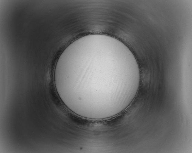X0000088920208200706291533