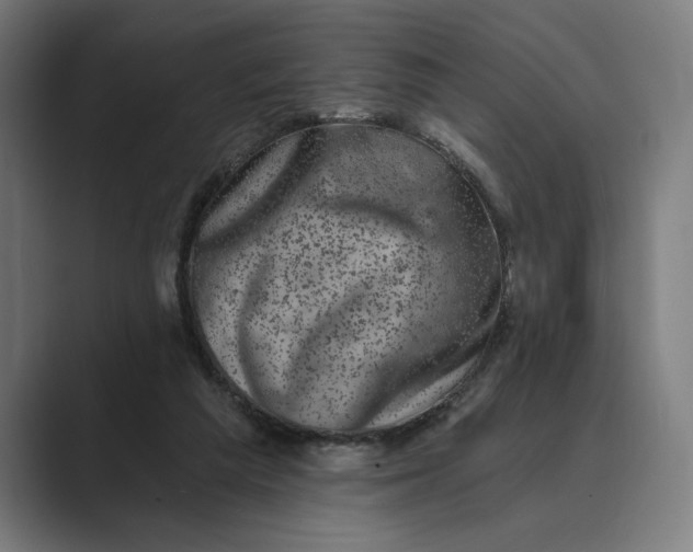X0000088920209200706291533
