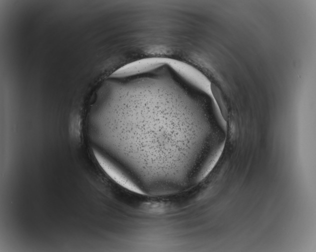 X0000088920211200706291533