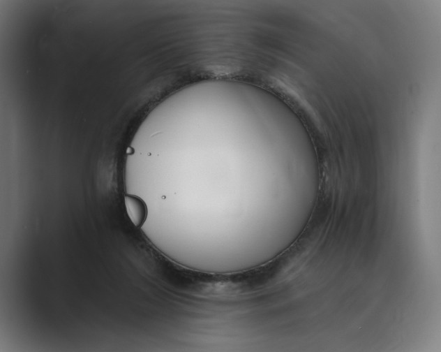 X0000088920212200706291533