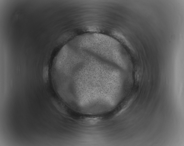 X0000088920213200706291533