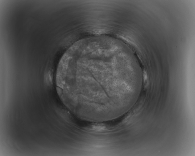 X0000088920214200706291533