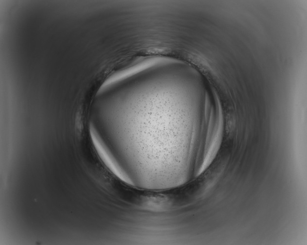 X0000088920215200706291533