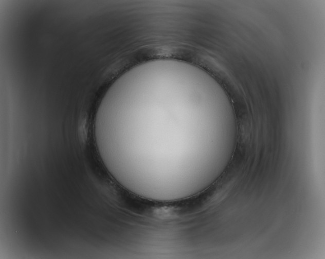 X0000088920216200706291533