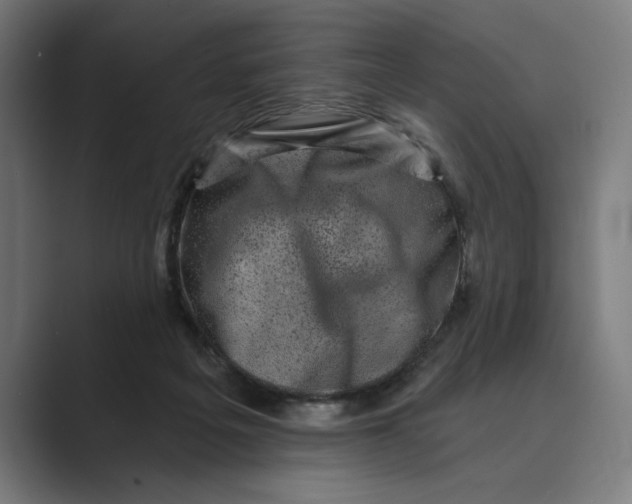 X0000088920217200706291533