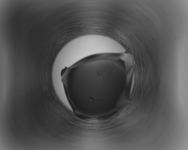 X0000088920219200706291533