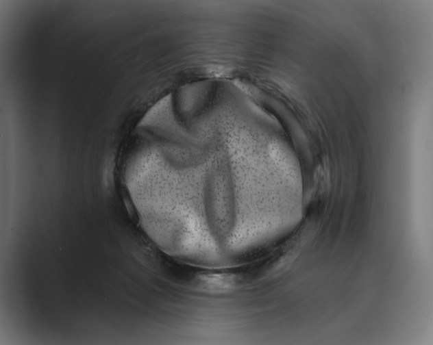 X0000088920221200706291533