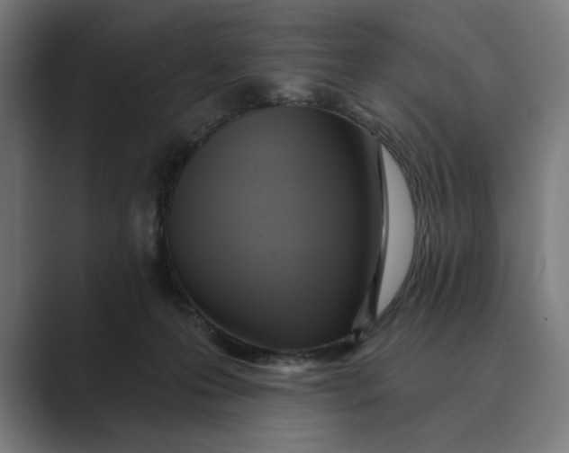 X0000088920223200706291533