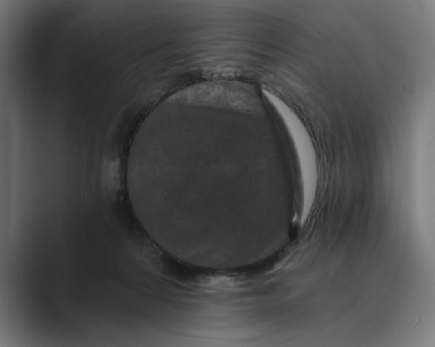 X0000088920224200706291533