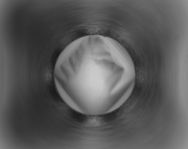X0000088920226200706291533