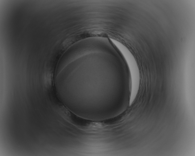 X0000088920227200706291533