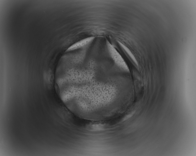X0000088920228200706291533