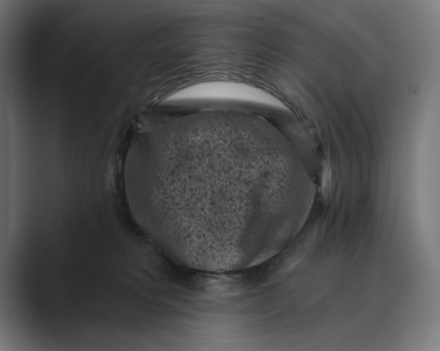 X0000088920229200706291533