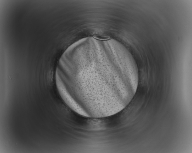 X0000088920230200706291533