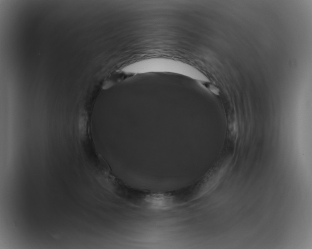 X0000088920231200706291533