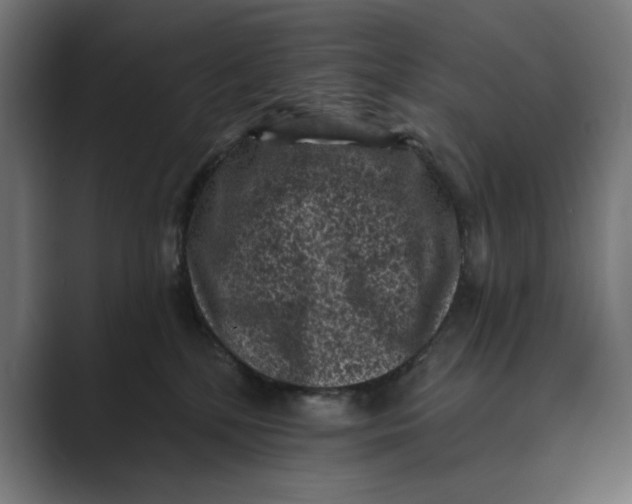 X0000088920232200706291533