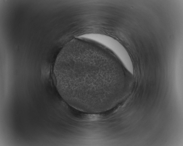 X0000088920233200706291533