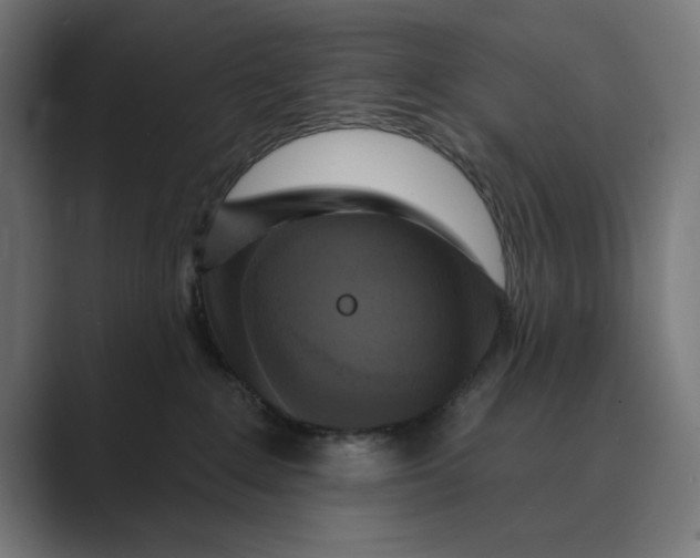 X0000088920235200706291533