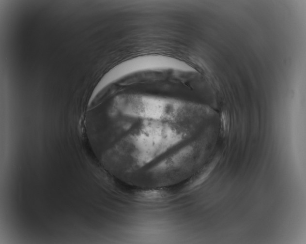 X0000088920237200706291533