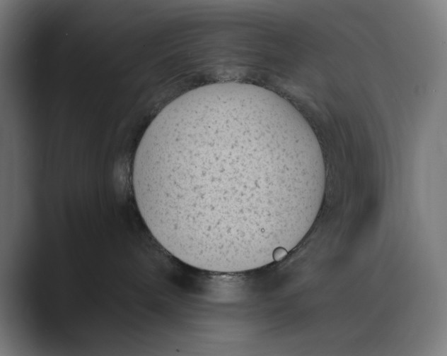 X0000088920240200706291533